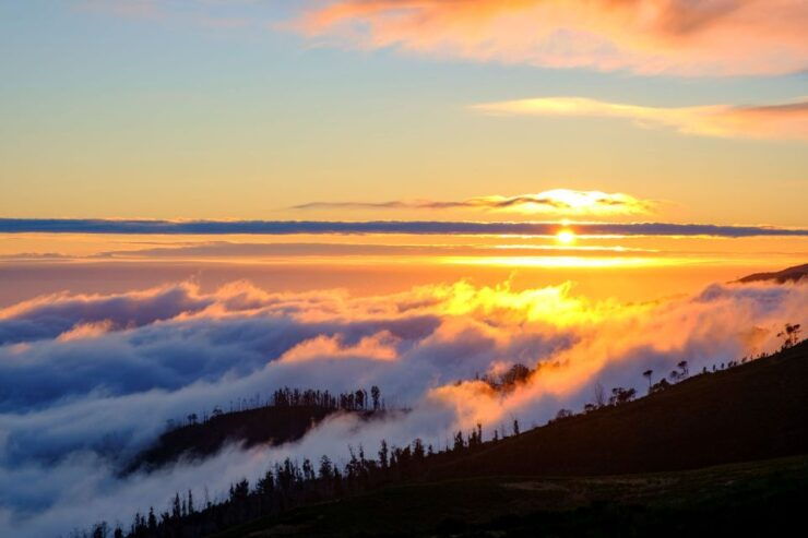 Fanal Forest Exploration Tour Sunset With Food and Drinks - Cancellation and Reservation Details
