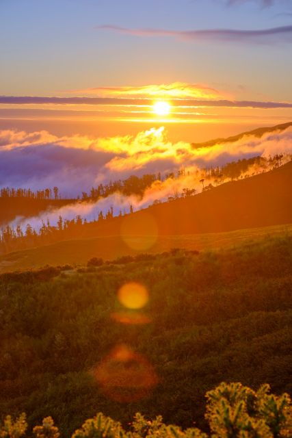 Fanal Forest Exploration Tour Sunset With Food and Drinks - Highlights of the Tour
