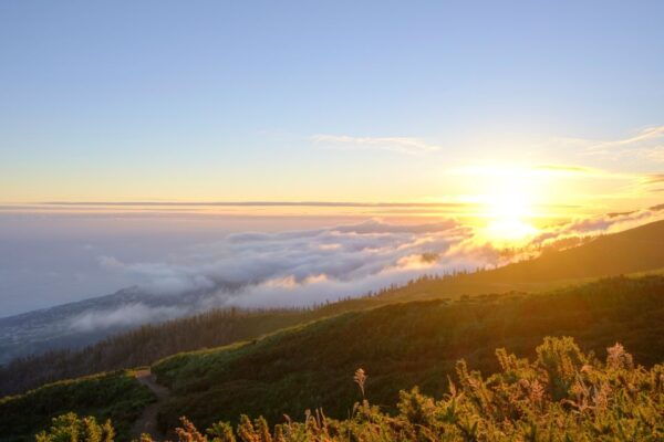 Fanal Forest Exploration Tour Sunset With Food and Drinks - Selecting Participants and Checking Availability