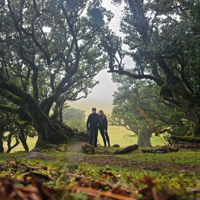 Fanal Tour by Overland Madeira - Good To Know