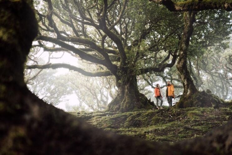Fanal: Transfer for Self-Guided Hikes Pr13/Pr14 or Free Time - Pickup Instructions and Trail Timing Guide