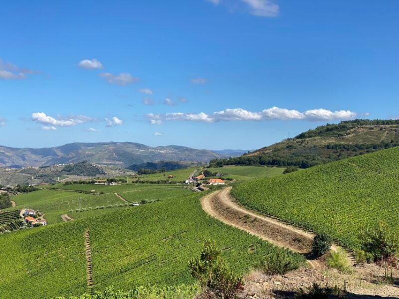 Fancy Douro from Porto - private walk + lunch + wines - Setting the Scene: A Taste of Portugal’s Crown Jewel