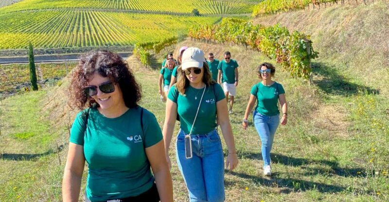 Fancy Douro from Porto - private walk + lunch + wines - Visit to Provesende: A Historic Wine Village