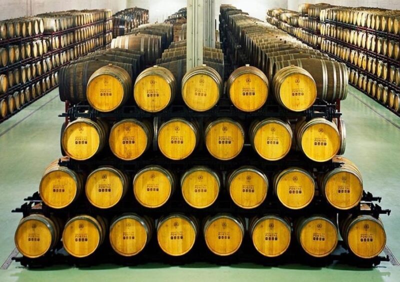 Fancy Douro from Porto - private walk + lunch + wines - Visiting the Cellars and Learning About Port