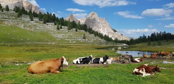 Fanes Day Trek in the Dolomites - What to Prepare
