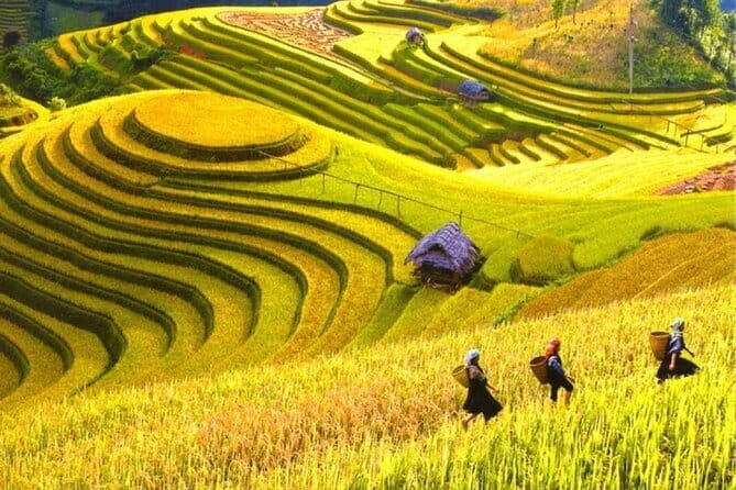 Fansipan Mountain, Cat Cat Village, Rice Terrace 2 Day Sapa Tour - FAQ