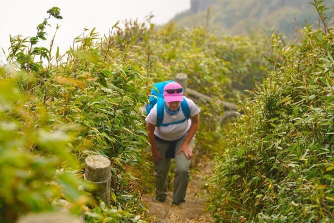 Fansipan Mountain Trekking 2 Days 1 Night - Inclusions