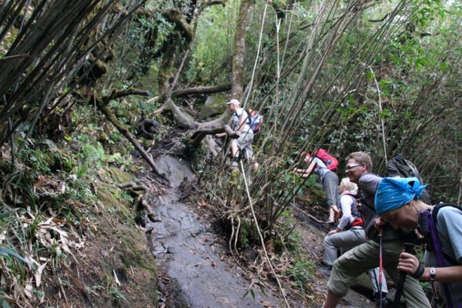 Fansipan Trek One Day Tour – Roof of Indochina - What to Bring for the Trek