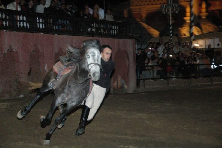 Fantasia 1001 Nights: Dinner Show From Marrakech - Experience Highlights