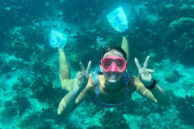 Fantastic Catalina Island, Beach and Depth - Transportation