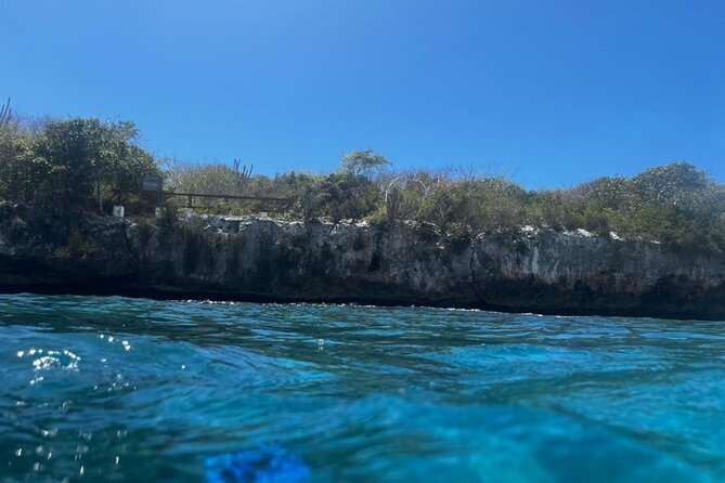 Fantastic Catalina Island, Beach and Depth - Snorkeling Experience
