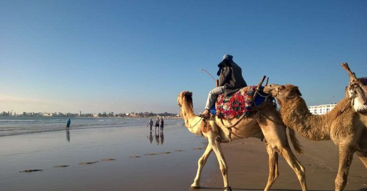 Fantastic Day Trip to Essaouira - Top Attractions to Explore