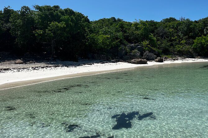 FANTASTIC Green Island and Sea Turtles - Half Day share boat trip - Arriving at Green Island: What You Can Expect