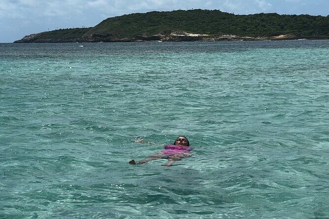 FANTASTIC Green Island and Sea Turtles - Half Day share boat trip - The Value: Is It Worth the Price?