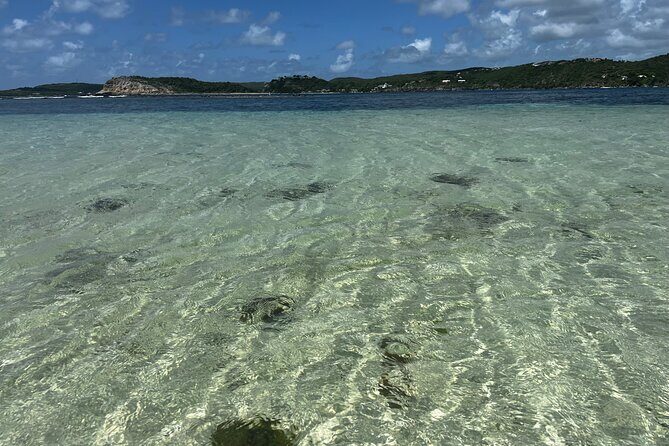 FANTASTIC Green Island and Sea Turtles - Half Day share boat trip - The Sum Up