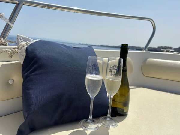 Fantastic Ionian Coast Cruise: Explore Sicilys Hidden Gems! - Book Your Adventure Today