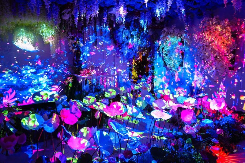 Fantastic Phuket Ticket - Key points before you go