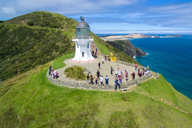 Far North New Zealand Tour Including 90 Mile Beach and Cape Reinga From Paihia - Traveler Photos