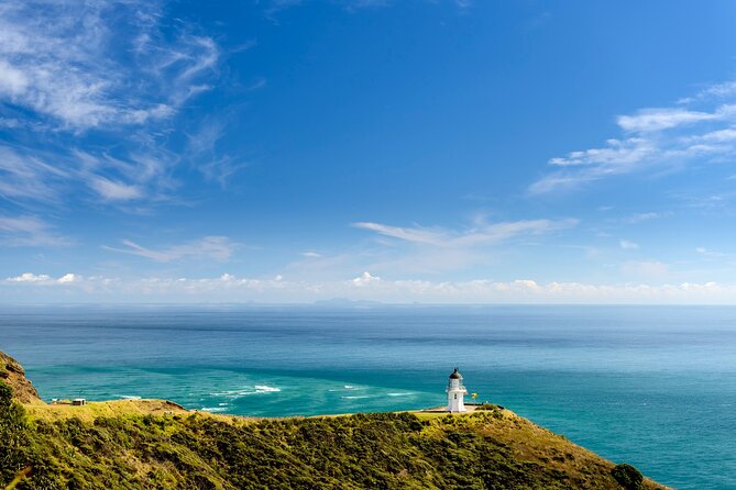 Far North New Zealand Tour Including 90 Mile Beach and Cape Reinga From Paihia - Review Excerpts