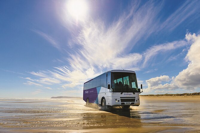 Far North New Zealand Tour Including 90 Mile Beach and Cape Reinga From Paihia - Questions