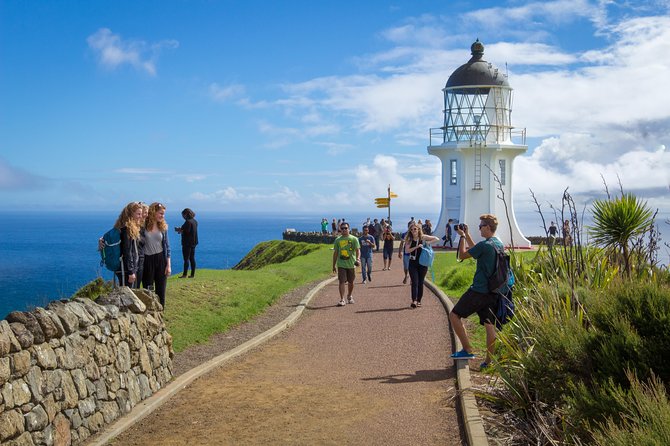 Far North New Zealand Tour Including 90 Mile Beach and Cape Reinga From Paihia - Common Questions