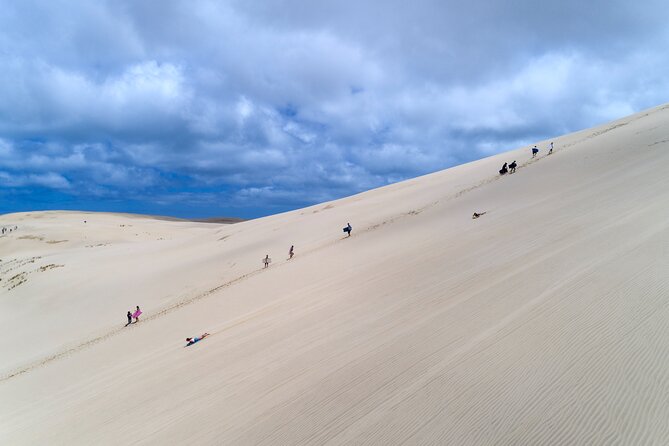 Far North New Zealand Tour Including 90 Mile Beach and Cape Reinga From Paihia - The Sum Up