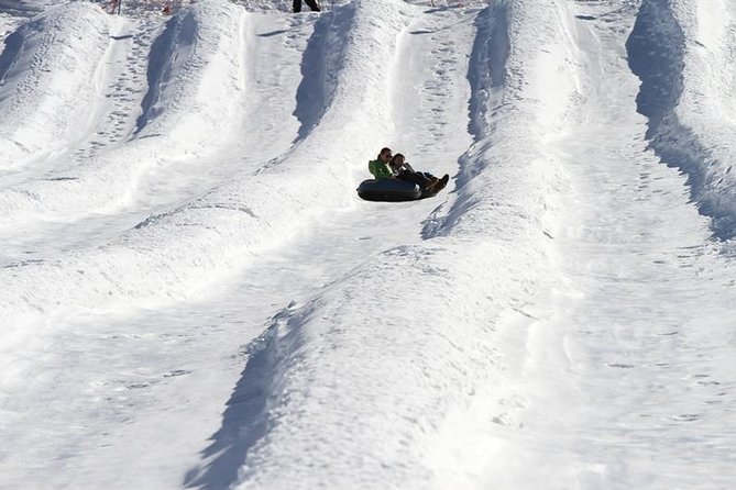 Farellones or Colorado Ski Center Snow Day Trip From Santiago (Feb ) - Group Size Options