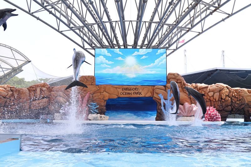 Farglory Ocean Park Ticket - Decide if a dolphin-care tour is worth the extra