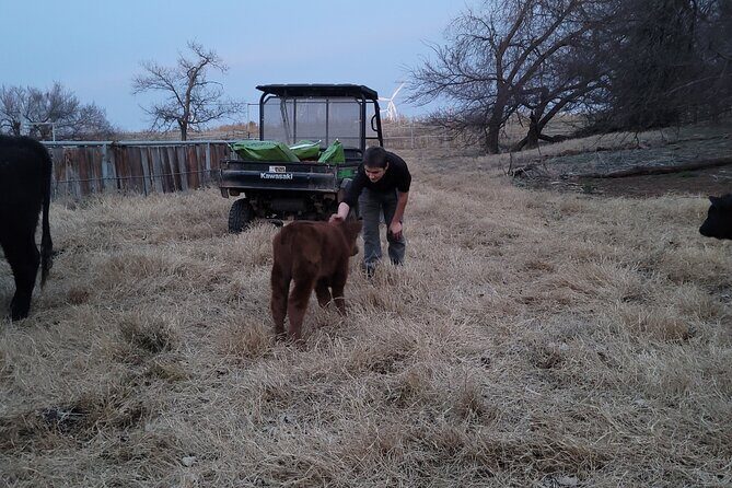 Farm Adventure Experience in Red Hill Ranch - Good To Know