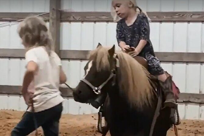 Farm Adventure Experience in Red Hill Ranch - Who Should Book This Experience?