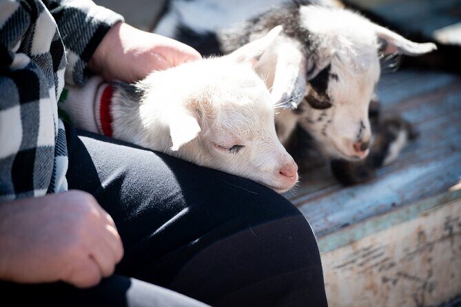 Farm Day Pass General Admission - Exploring the Farm: What to Expect