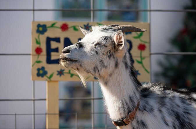 Farm Day Pass General Admission - FAQ