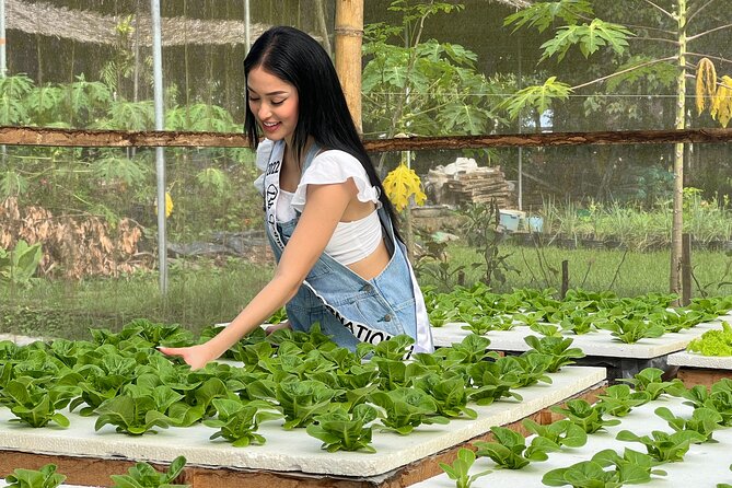 Farm Day Tour With Dining Experience - Good To Know
