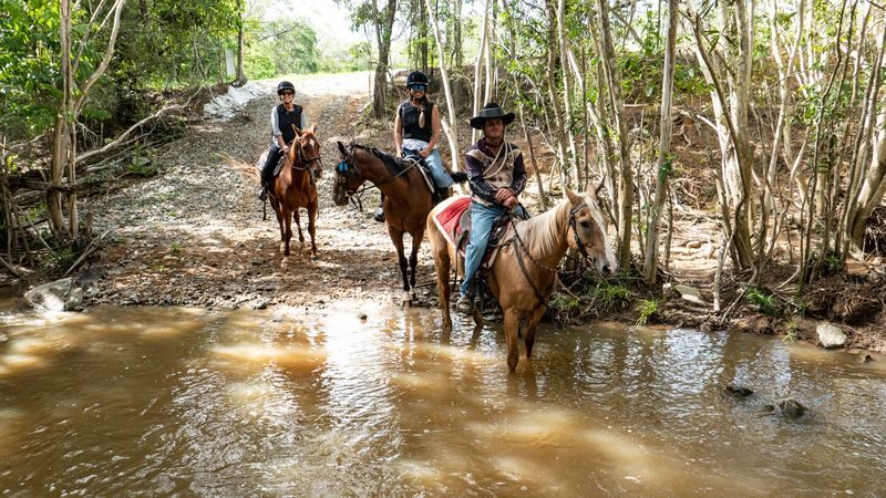 Farm Experience, Quad Biking and Horse Ride in Cairns - From Kuranda to a working farm