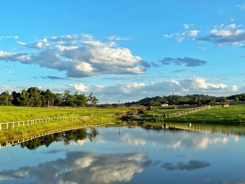 Farm Experience, Quad Biking and Horse Ride in Cairns - Organic produce and a farm lunch