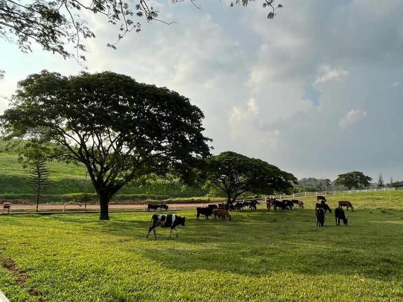 Farm Fresh Ticket At UPM, Seri Kembangan in Selangor - What to know before you go