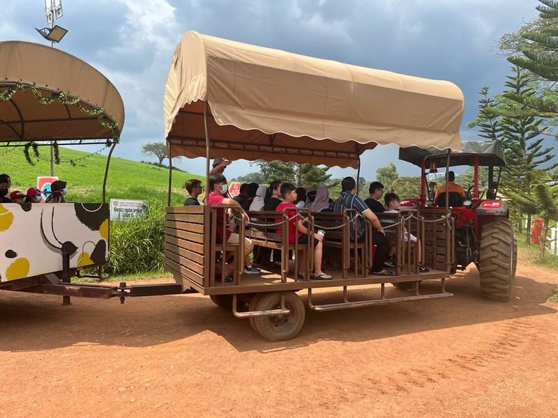Farm Fresh Ticket At UPM, Seri Kembangan in Selangor - A farm visit, not a full-day theme park