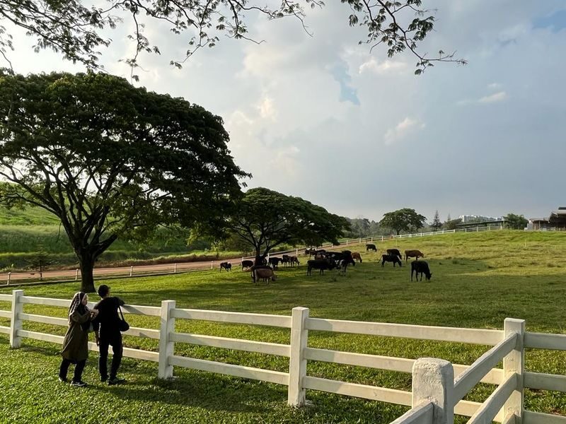 Farm Fresh Ticket At UPM, Seri Kembangan in Selangor - Stop at Fresh Picks and plan a snack break
