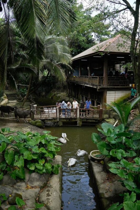 Farm In The City Ticket - Choose a quieter day if you can