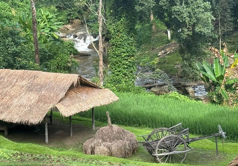 Farm Life Discovery From Soil to Table in Chaing Mai - Finish at Mae Sa Waterfall