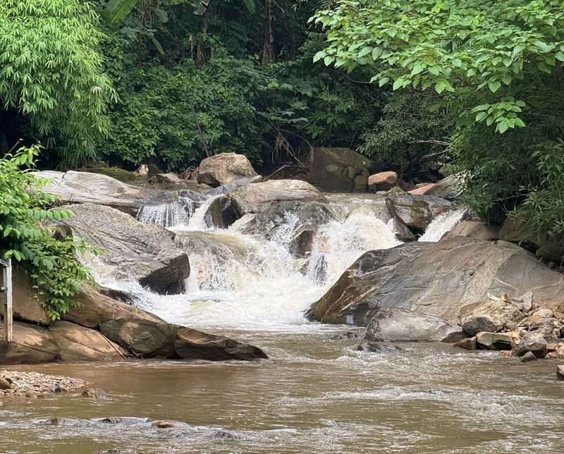 Farm Life Discovery From Soil to Table in Chaing Mai - Is the price good value?