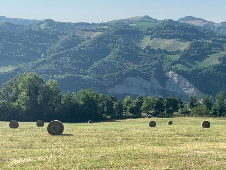Farm Stay Experience & Dozza - Private Day Tour From Bologna - Good To Know