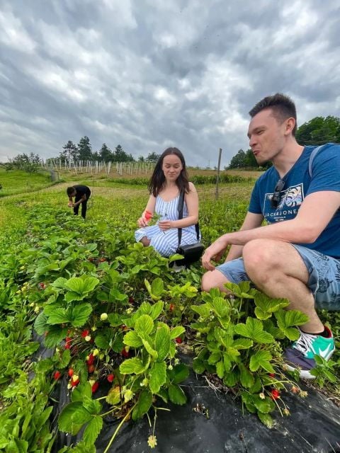 Farm Stay Experience & Dozza - Private Day Tour From Bologna - Itinerary