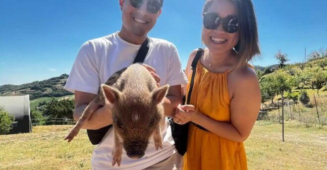Farm Stay Experience & Dozza - Private Day Tour From Bologna - Highlights