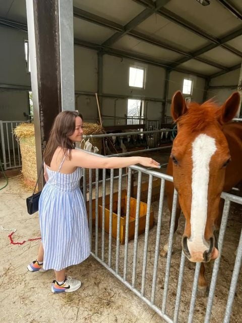Farm Stay Experience & Dozza - Private Day Tour From Bologna - Inclusions