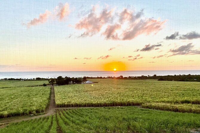 Farm to Bottle Tour at Prosperity Farm Distillery - What to Expect from the Farm to Bottle Tour at Prosperity Farm Distillery