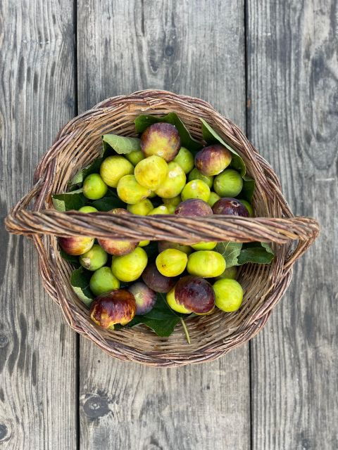 Farm to Fork in Sicily Southeast - Cooking Class in a Farm - Experience Highlights