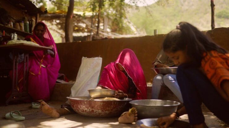 Farm To Table At A Zen Eco-farm Surrounded By The Aravallis - Booking Information Breakdown