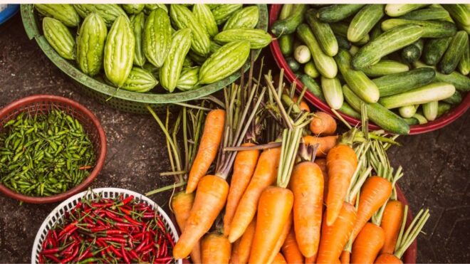 Farm To Table At A Zen Eco-farm Surrounded By The Aravallis - Experience Highlights and Inclusions