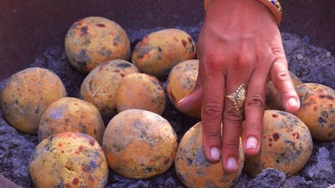 Farm To Table At A Zen Eco-farm Surrounded By The Aravallis - Important Preparatory Information